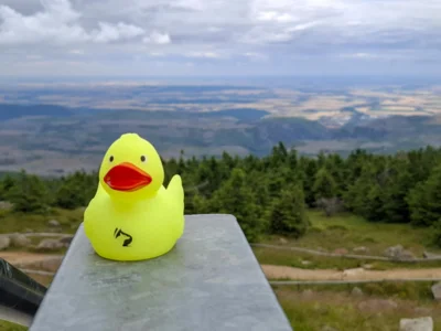 Foto: Christina Giese  (Bild vergr&ouml;&szlig;ern)