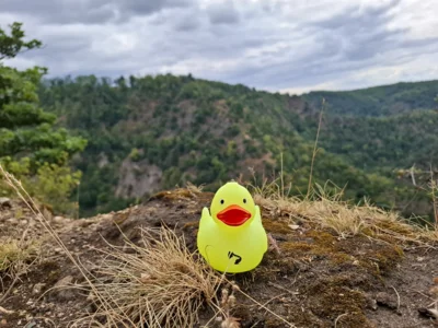 Foto: Christina Giese  (Bild vergr&ouml;&szlig;ern)