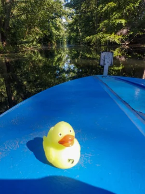 Foto: Linda Krause  (Bild vergr&ouml;&szlig;ern)