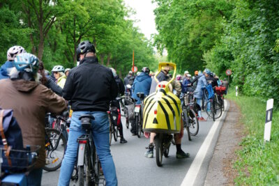 Stadtradeln 2025 - Rad egal, einfach mitmachen  (Bild vergr&ouml;&szlig;ern)
