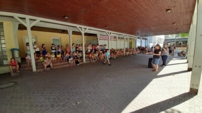 Foto des Albums: Ehrenurkunden