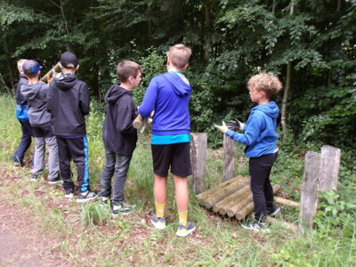Foto des Albums: Waldolympiade
