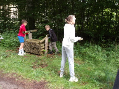 Foto des Albums: Waldolympiade