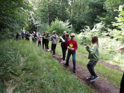 Foto des Albums: Waldolympiade