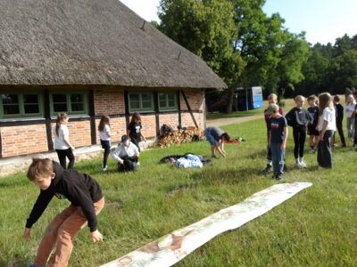 Foto des Albums: Waldolympiade