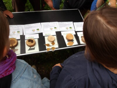 Foto des Albums: Waldolympiade