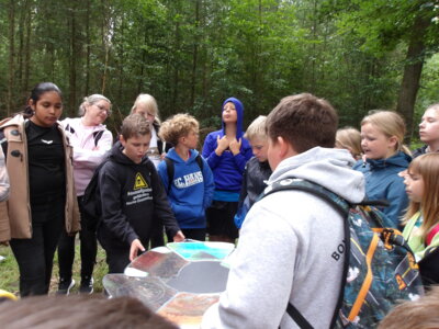 Foto des Albums: Waldolympiade