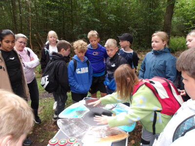 Foto des Albums: Waldolympiade