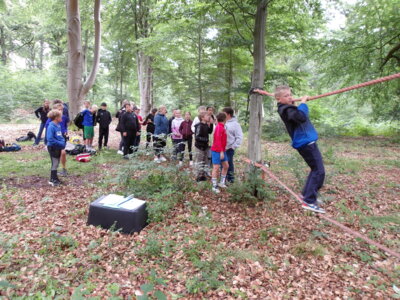 Foto des Albums: Waldolympiade