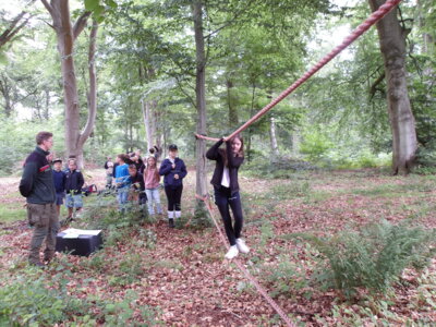Foto des Albums: Waldolympiade