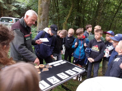 Foto des Albums: Waldolympiade