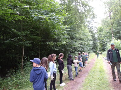 Foto des Albums: Waldolympiade