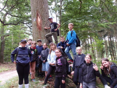 Fotoalbum Waldolympiade