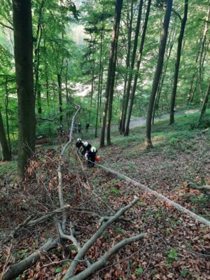 Foto des Albums: Einsatzübung 
