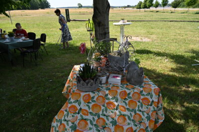 Foto des Albums: Tischlein deck dich 2025