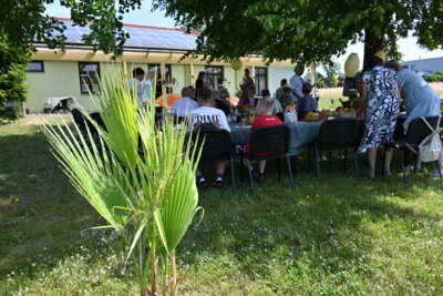 Foto des Albums: Tischlein deck dich 2025