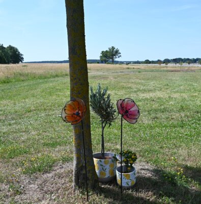 Foto des Albums: Tischlein deck dich 2025
