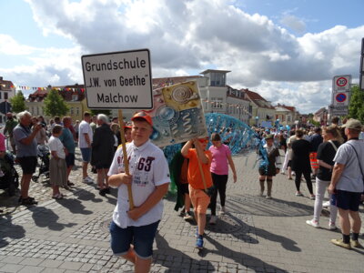 Foto des Albums: Volksfestumzug 2025