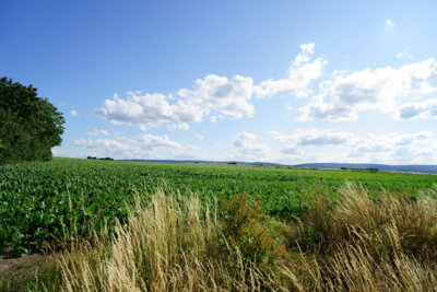 Blick zum Deister  (Bild vergr&ouml;&szlig;ern)