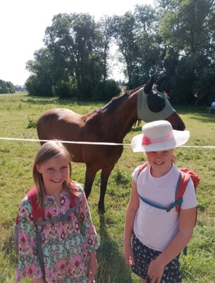 Foto des Albums: Sommerferien