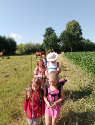 Foto des Albums: Sommerferien