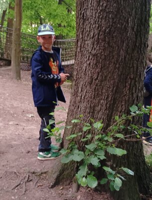 Foto des Albums: Sommerferien