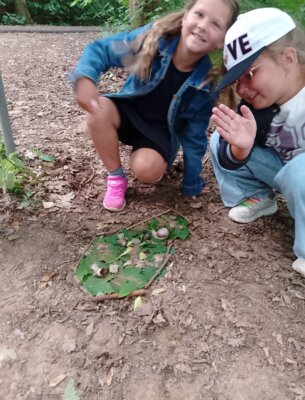 Foto des Albums: Sommerferien