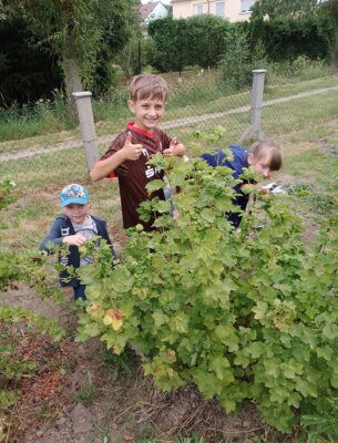 Foto des Albums: Sommerferien