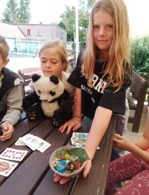 Foto des Albums: Sommerferien