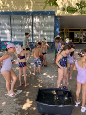 Foto des Albums: Wasserspiele 2025