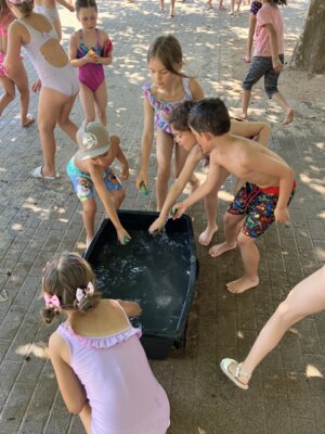 Foto des Albums: Wasserspiele 2025