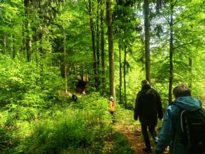 Rodelbahnweg  (Bild vergr&ouml;&szlig;ern)