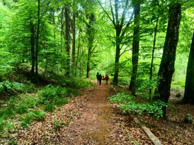 Schwarzer Weg  (Bild vergr&ouml;&szlig;ern)