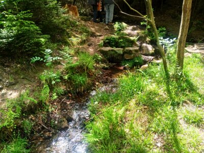 Bullerbach  (Bild vergr&ouml;&szlig;ern)