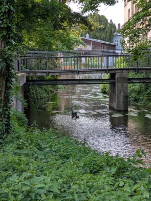 Br&uuml;cke &uuml;ber einen Umflutgraben N&auml;he Gieselerwall  (Bild vergr&ouml;&szlig;ern)