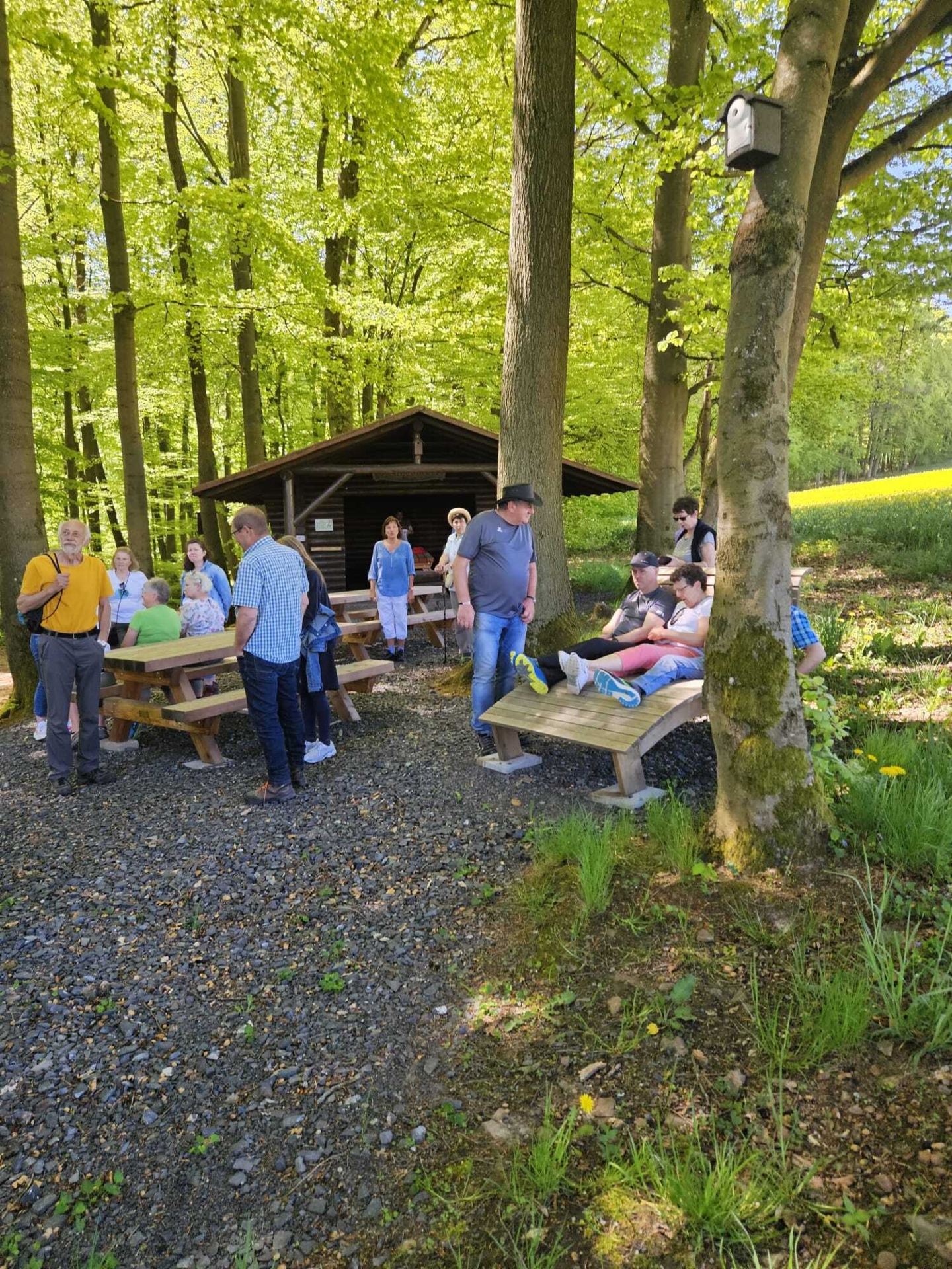 Bild der Galerie