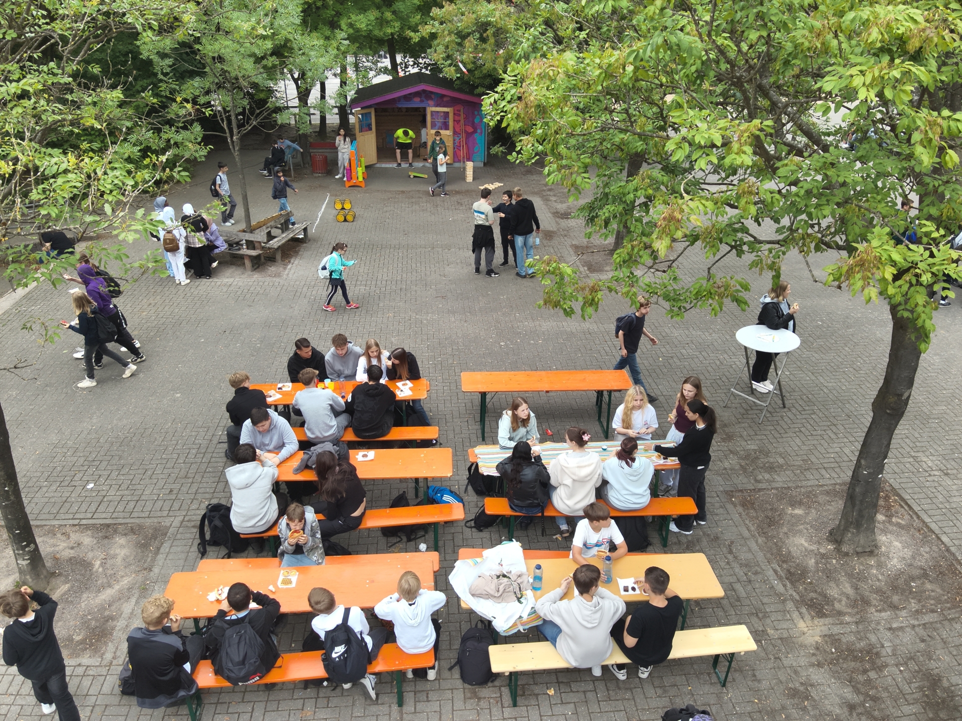 Bild der Galerie