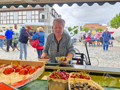 Foto des Albums: PriMa-Treff Beerenmarkt