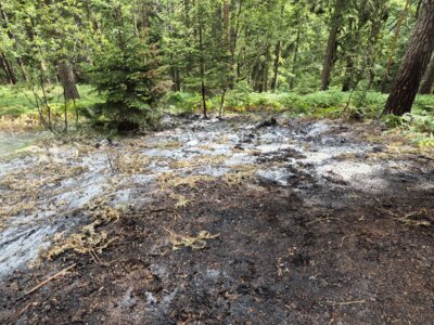 Fotoalbum Einsatz - Rauchentwicklung im Wald