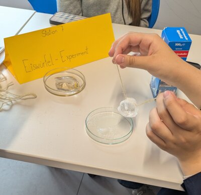 Foto des Albums: Miniphänomenta an unserer Schule