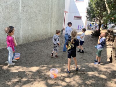 Vorschaubild der Galerie