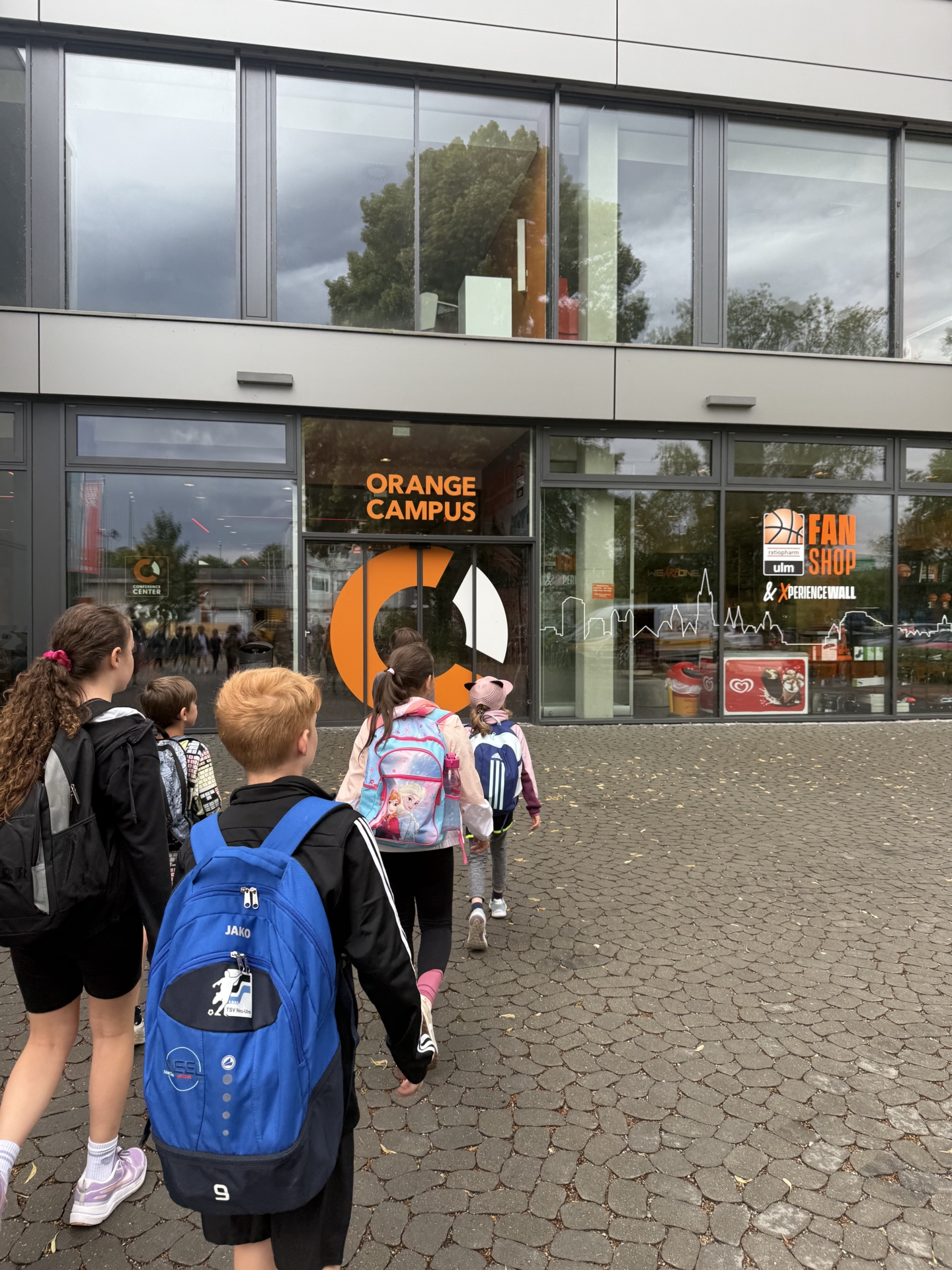 Bild der Galerie