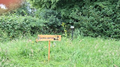 Foto des Albums: Hummelgarten und Totholzhecke