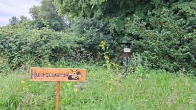 Foto des Albums: Hummelgarten und Totholzhecke