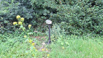 Foto des Albums: Hummelgarten und Totholzhecke