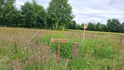 Foto des Albums: Hummelgarten und Totholzhecke