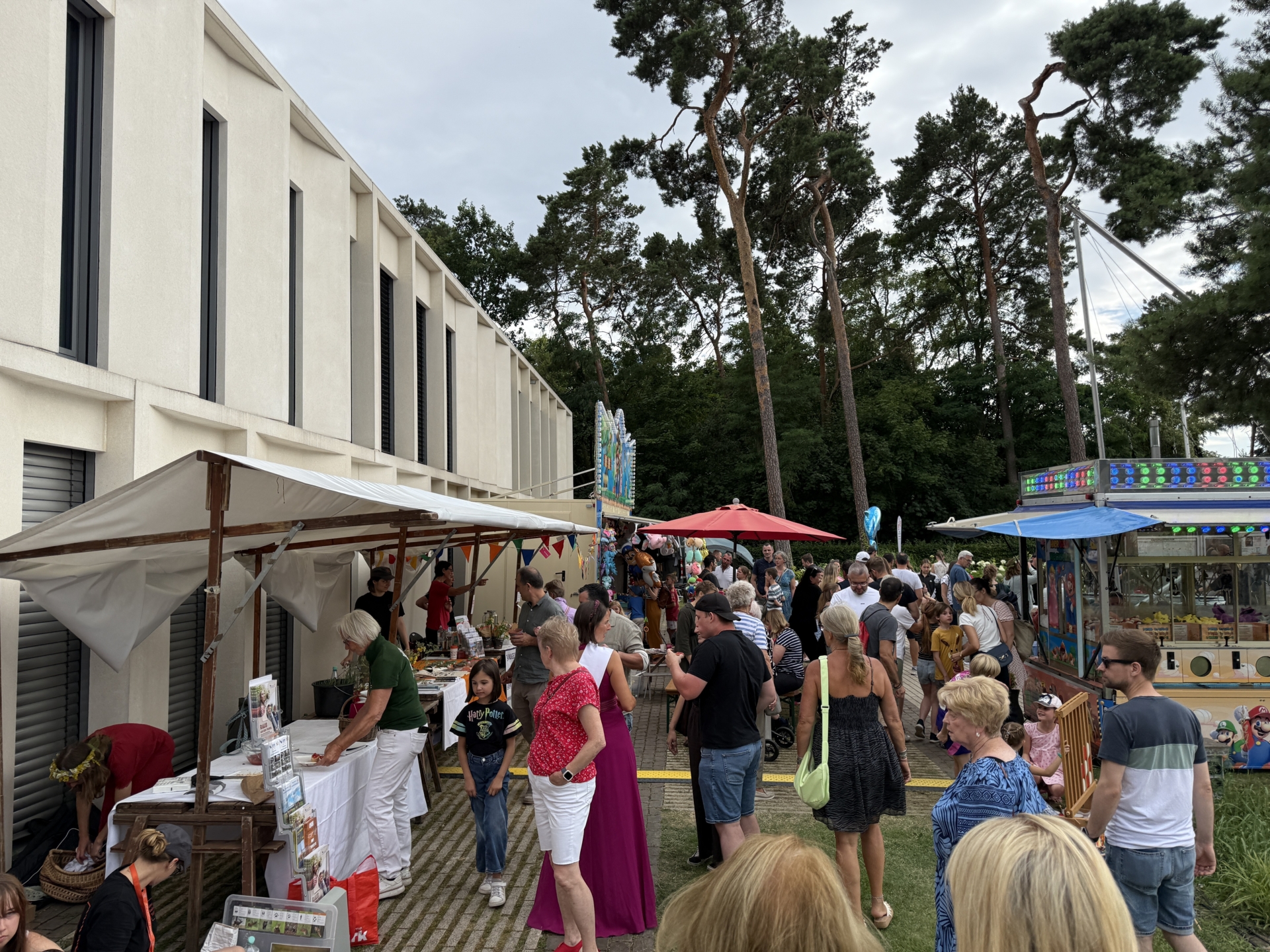 Bild der Galerie