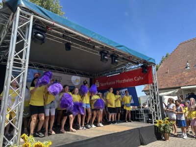 Foto des Albums: Dorffest 2025