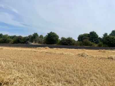 Foto des Albums: Einsatz 34/2025
