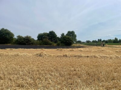 Foto des Albums: Einsatz 34/2025